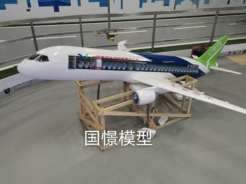 太仓市飞机模型